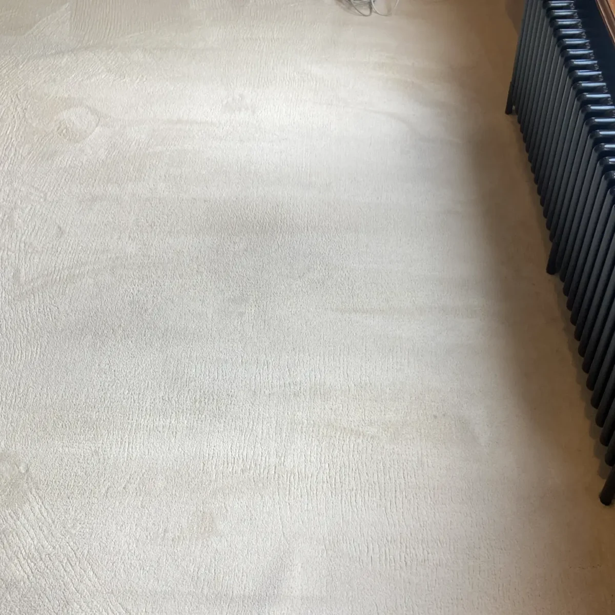 Licht tapijt bij B&B Singelsuites Amsterdam na reiniging