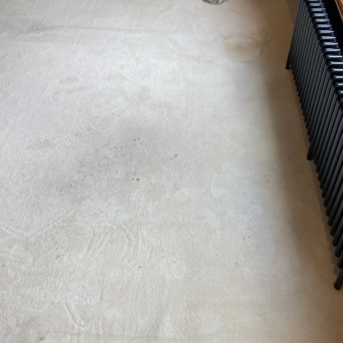 Licht tapijt bij B&B Singelsuites Amsterdam voor reiniging