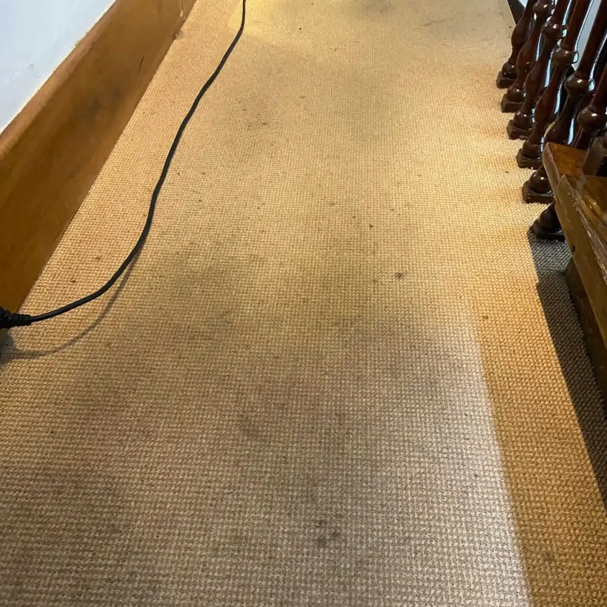 Tapijt in gang B&B Singel Suites Amsterdam voor reiniging